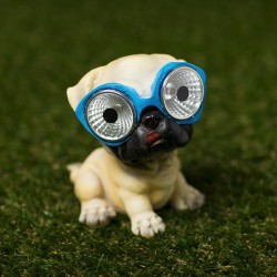 Chien Solaire Butch
