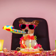 top idée cadeau insolite