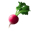emoji radish
