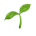 emoji seeding