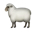 emoji sheep